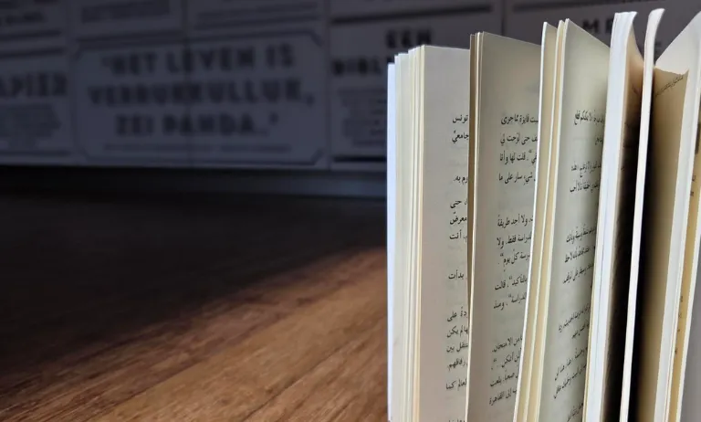 Arabische literatuur voor volwassenen