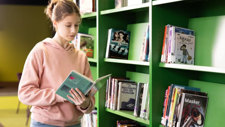 Uittrekselbank graphic novels