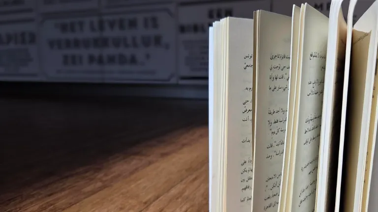 Arabische literatuur voor volwassenen