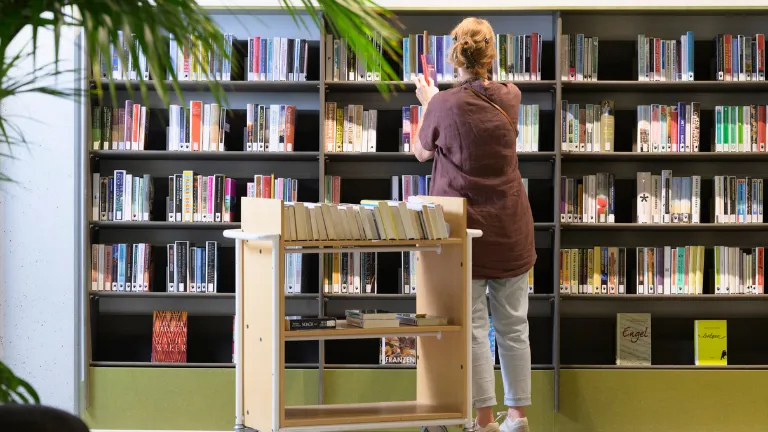 Collectioneur